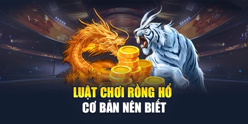 Luật tham gia rồng hổ cơ bản nên biết